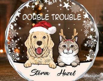 Custom Double Trouble Ornament, Funny Pet Glass Ornament Keepsake