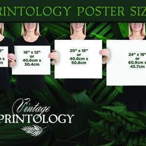 K&ouml;nnte beinhalten: Vier wei&szlig;e Posterrahmen, die von Personen gehalten werden und verschiedene Gr&ouml;&szlig;en in Zoll und Zentimetern zeigen. Der Text "PRINTOLOGY POSTER SIZES" befindet sich oben im Bild. Der Text "Vintage PRINTOLOGY" befindet sich unten im Bild.