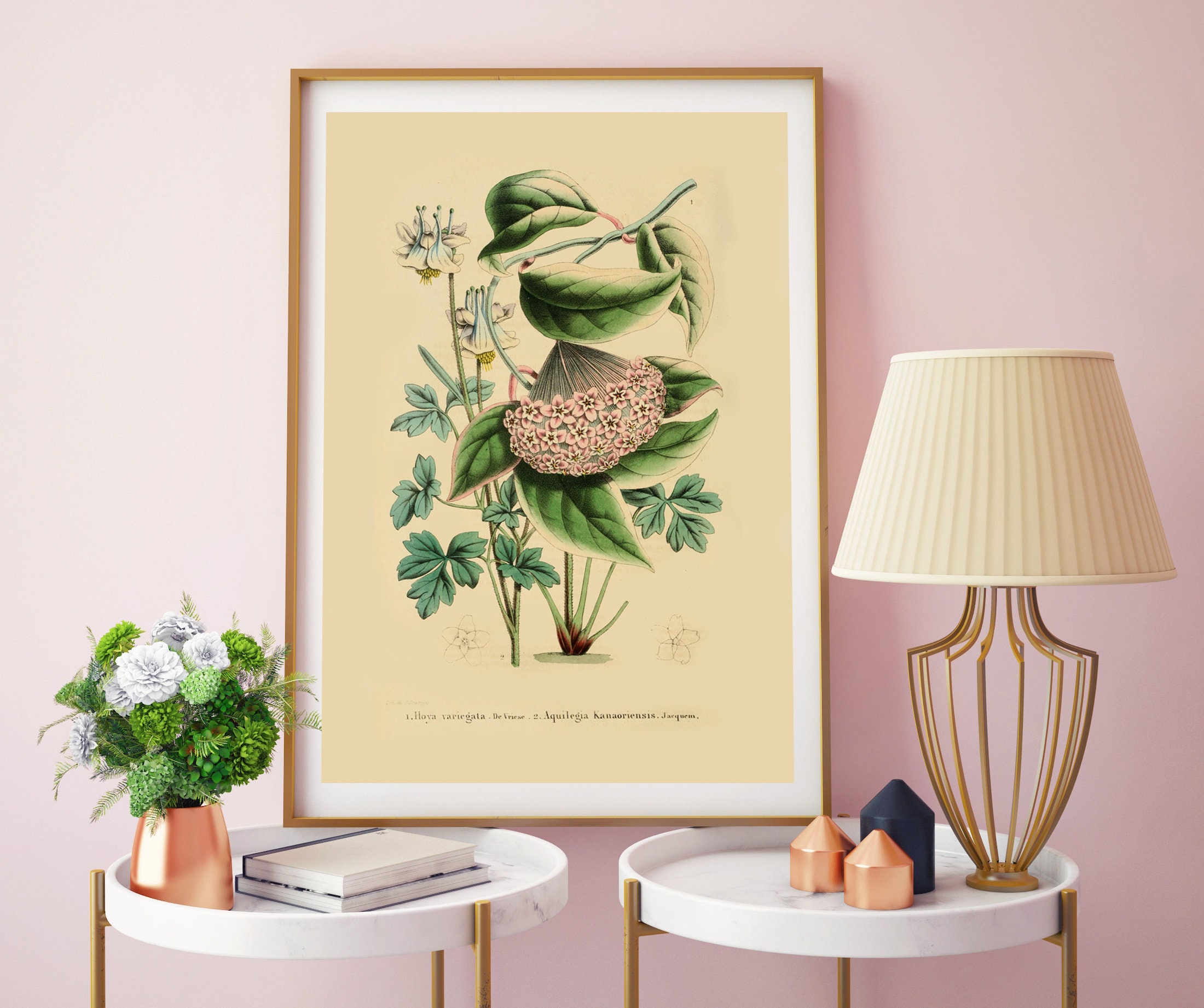 くれは様用です！！　ヴィンテージ　イタリア製　ボタニカルアート　2つ くれは様用です！！ ヴィンテージ イタリア製 ボタニカルアート 2つ