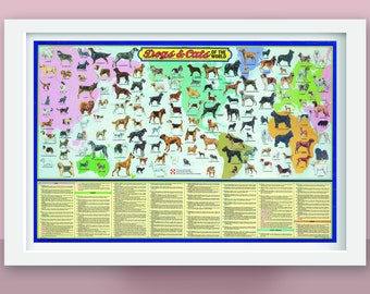 Vintage Dogs and Cats Poster circa 1973, illustrated guide to dog and cat breeds of the world, published by Ralston Purina Company