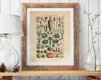Vintage Vegetables Poster Print, by Adolphe Millot (1857-1921) from ‘Nouveau Larousse Illustré, Legumes et Plantes Potageres