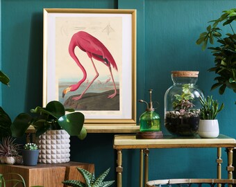 May include: A framed print of a pink flamingo with a gold frame. The print is on a table with a terrarium, a small potted plant, and a spray bottle. The background is a teal wall.