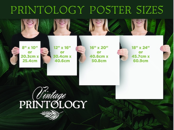 ベンジャミン・フランクリンの肖像画、有名なアメリカ人