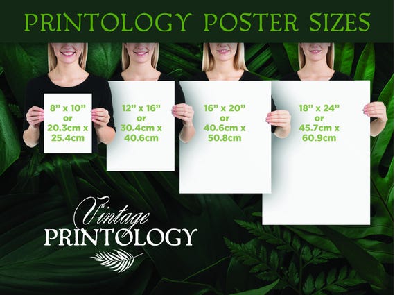 Matsumoto Hoji Frog Set of 3 Prints, Japanese Woodblock Wall Art