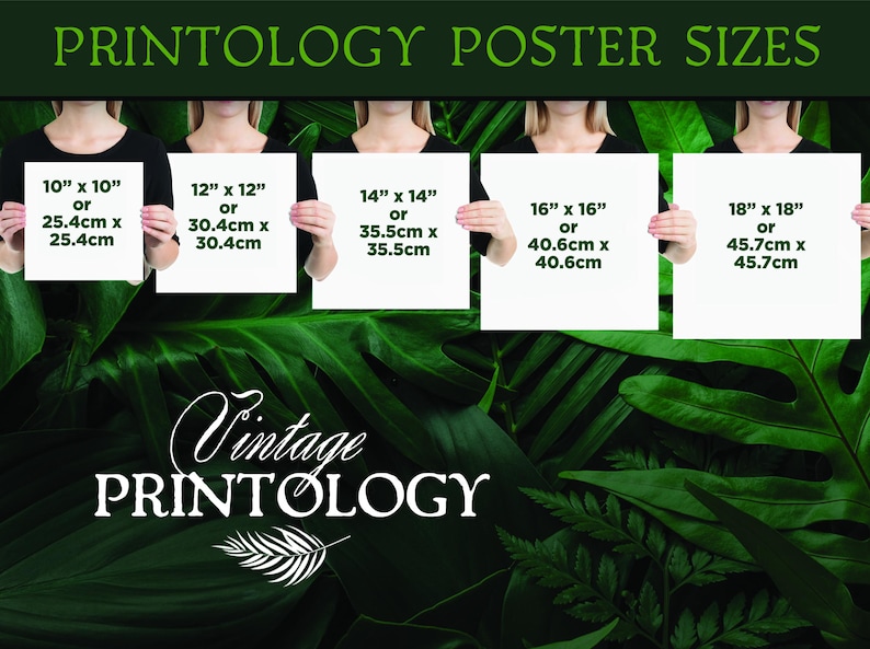 May include: Five white cards with black text showing different poster sizes in inches and centimetres. The cards are held by hands in front of a green leafy background. The text on the cards reads: "PRINTOLOGY POSTER SIZES"  "10" x 10" or 25.4cm x 25.4cm"  "12" x 12" or 30.4cm x 30.4cm"  "14" x 14" or 35.5cm x 35.5cm"  "16" x 16" or 40.6cm x 40.6cm"  "18" x 18" or 45.7cm x 45.7cm". Below the cards is the text "Vintage PRINTOLOGY" in white on a green leafy background.