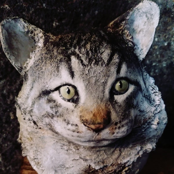 Tête de chat Persan, Trophée à accrocher en papier mâché.