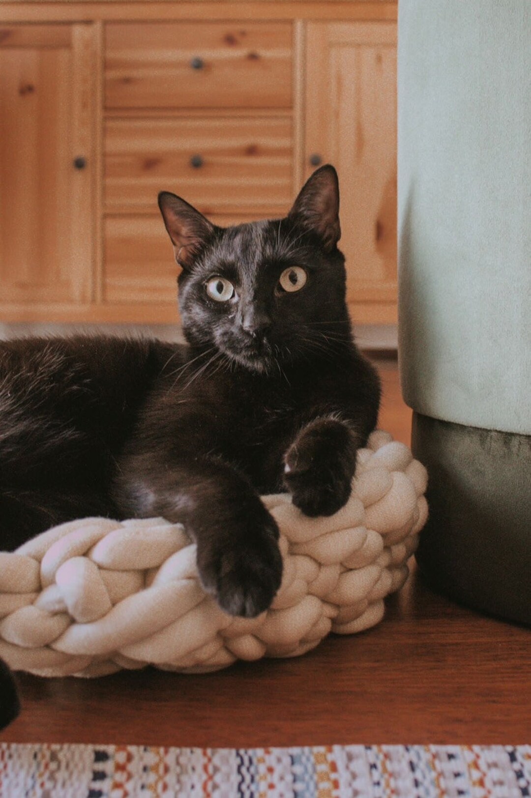 Personalized Cat Bed Etsy