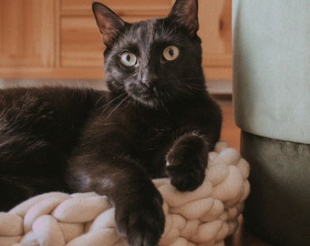 Personalized Cat Bed