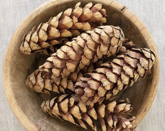 Bag of Six Pine Cones- Natural