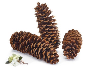 Natural Pine Cones- Set of 3