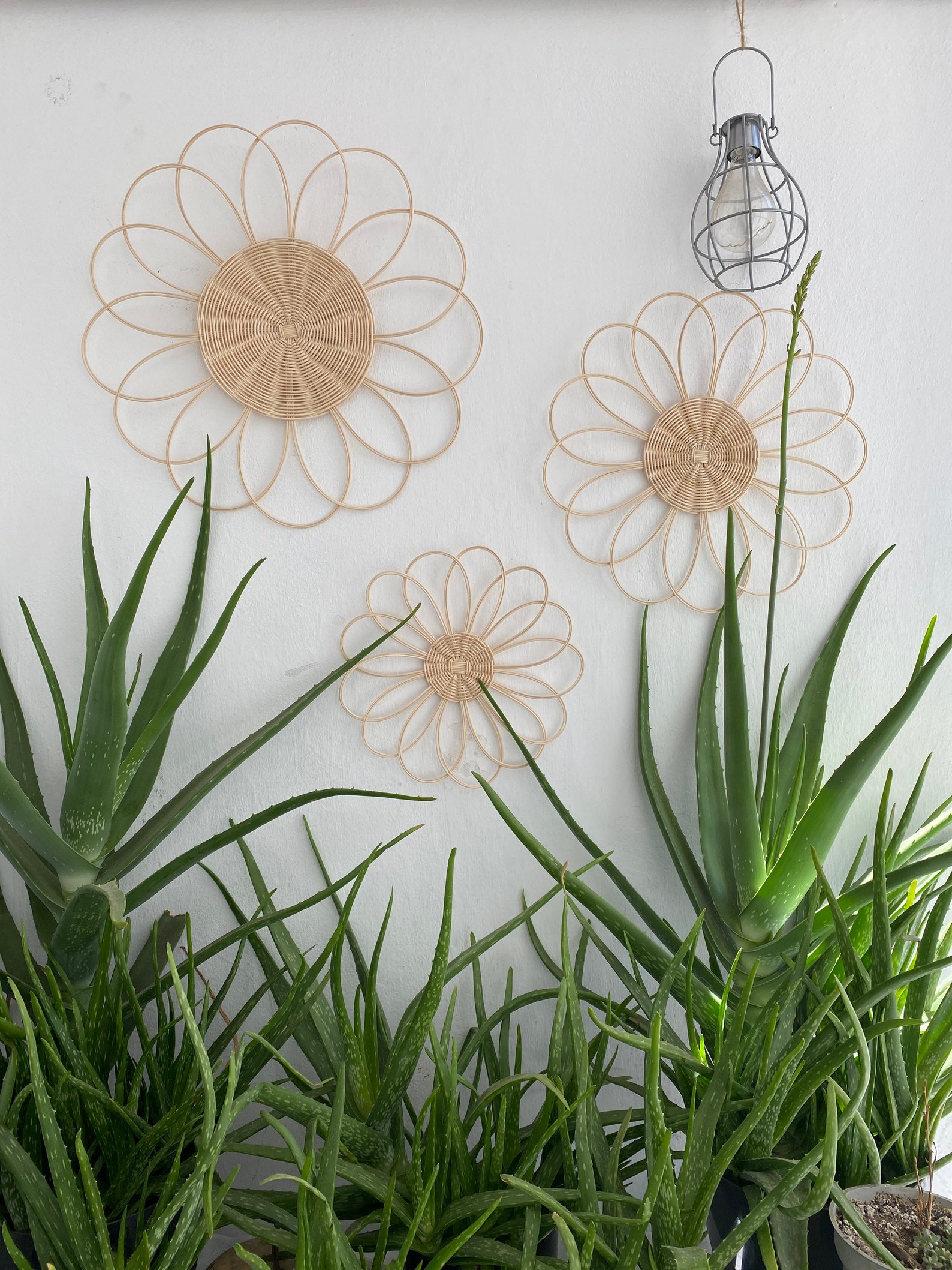 Set of 3 Rattan Daisy Flower Wall Decor Boho Decor Nursery Etsy