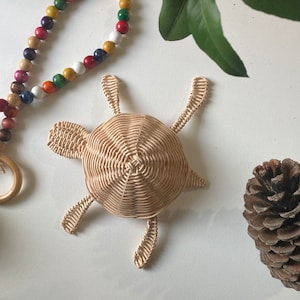 Cute Turtle Decor