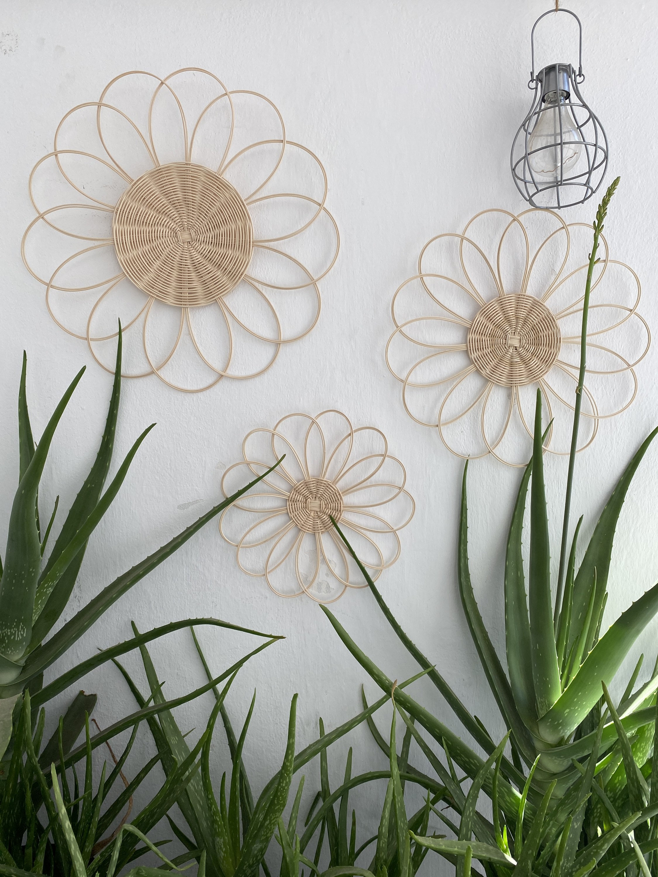 Rattan Daisy Flower Wall Decor (3pcs) Boho Decor Wall Hanging - Etsy