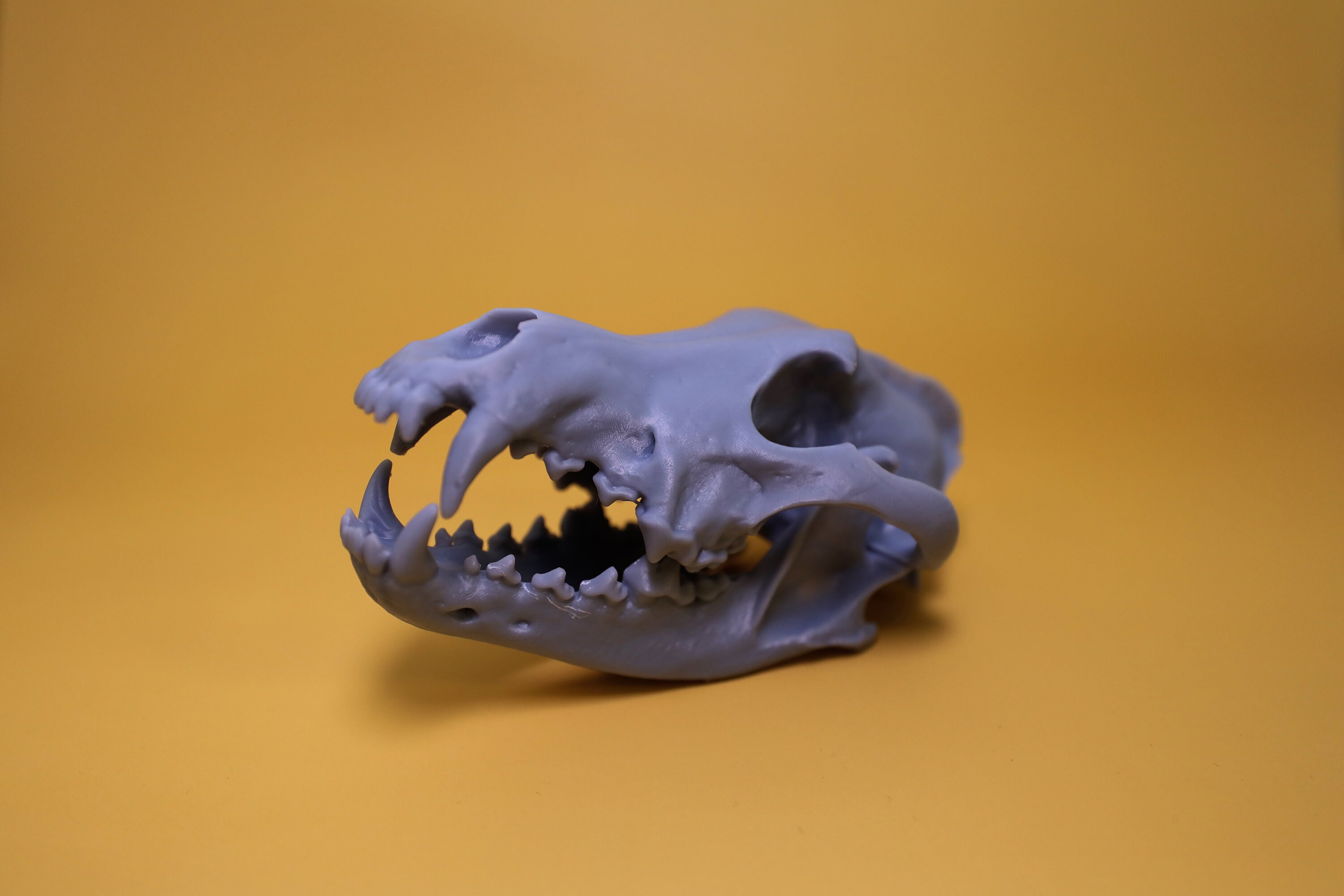 STL-Datei Katze in Rüstung 🐉・Design für 3D-Drucker zum herunterladen・Cults
