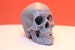 Human Skull Realistic Detailed Model | Resin 3D print | Gray & White Available | - Multiple Sizes! 