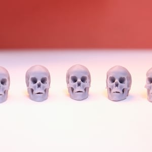 Tiny Human Skulls Realistic Models | Set of 5 | White and Gray Color Available! | - 1/2in Size!