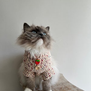 Crochet Cat jumper