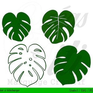 SVG Monstera Feuilles,  fichier Studio, svg citation ,fichier a telecharger svg, fichier silhouette à telecharger, fichier de coupe monstera