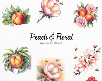 Watercolor Peach and Floral Collection Clipart, Sweet Fruit Clipart, Botanical Blossom Bundle, Summer Garden Nature Bloom Graphic PNG