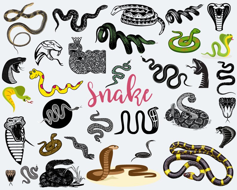 Snake Svg Bunde, Snake Clipart Svg, Snake Silhouette, Cobra ...