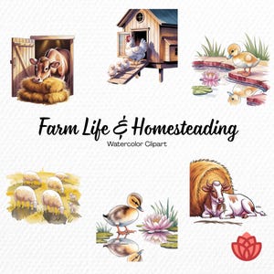 May include: A collection of watercolor illustrations titled Farm Life & Homesteading Watercolor Clipart, featuring a cow in a barn, a hen with chicks, a duckling by a pond, a flock of sheep, a duckling near a lotus, and a cow with hay.
