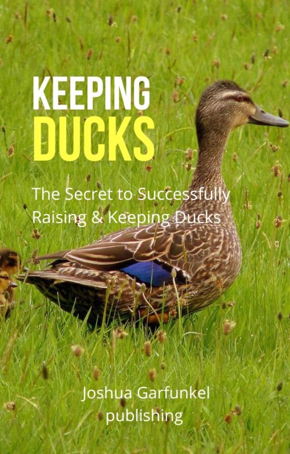 Keeping Ducks E-book How to Save Animals Animal SOS How - Etsy Keeping Ducks E-book How to Save Animals Animal SOS How - Etsy