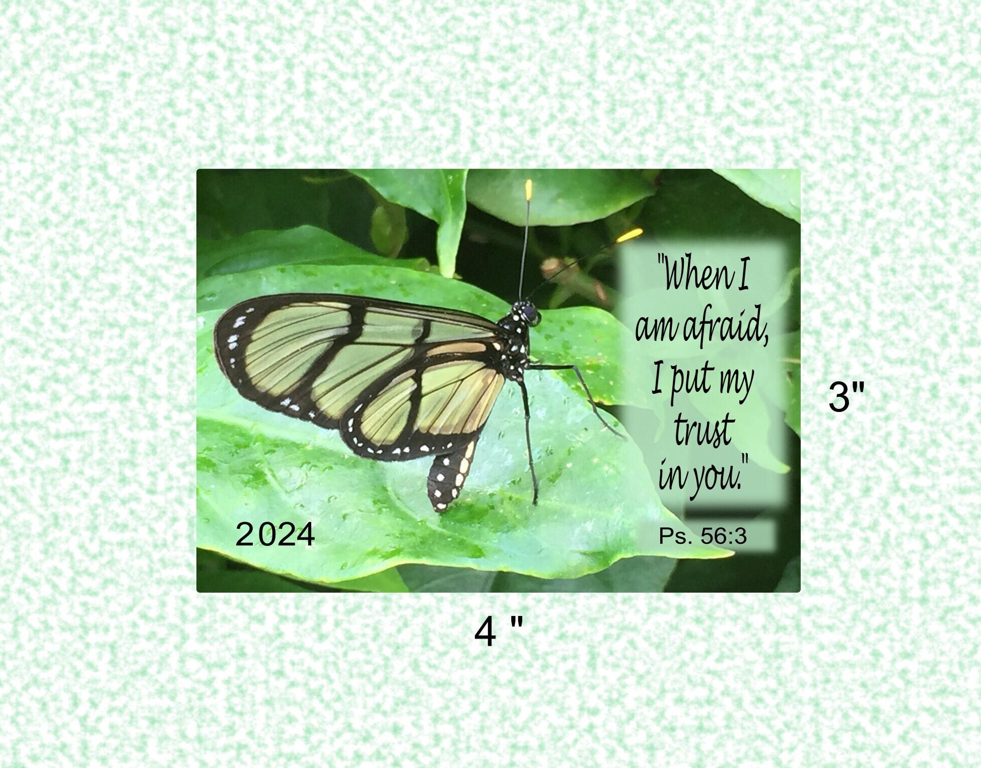 2024 JW Year Text English Etsy