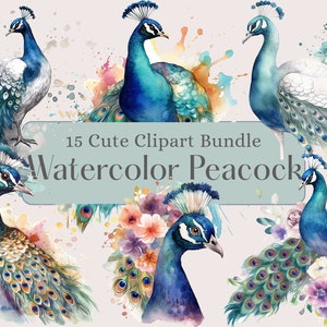 Peacocks Watercolor  Clipart Set, Stunning Bird Illustrations, PNG graphics, instant download, commercial use