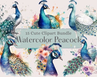 Paons aquarelle Clipart ensemble, superbes illustrations d’oiseaux, graphiques PNG, téléchargement instantané, utilisation commerciale