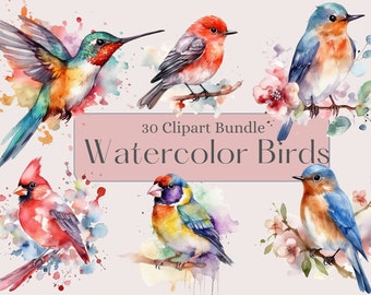 Imágenes prediseñadas de pájaros de acuarela, imágenes prediseñadas de pájaros coloridos, imágenes prediseñadas de primavera, ilustración de aves, uso comercial