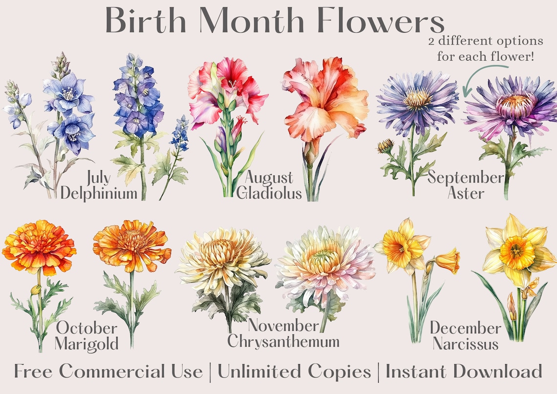 Birth Month Flowers Clipart Set Colorful Watercolor Floral PNG, Floral