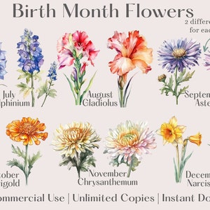 Birth Month Flowers Clipart Set Colorful Watercolor Floral PNG, Floral ...