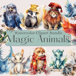 Magic School Clipart Bundle, Magic Animals, Fantasy Clipart, Witch and Wizard png, Wizarding school Digital watercolor.