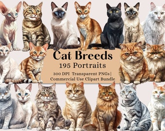 Cat Clipart Bundle, Cat Breeds PNG Images, Watercolor Cat Clipart, Cat Illustration, Cute Cat Digital Illustration, Watercolor Animals