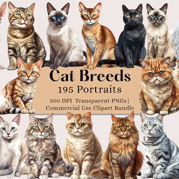 Cat Clipart Bundle, Cat Breeds PNG Images, Watercolor Cat Clipart, Cat Illustration, Cute Cat Digital Illustration, Watercolor Animals