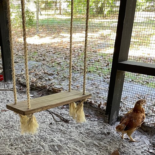 Handcrafted Chicken Swing