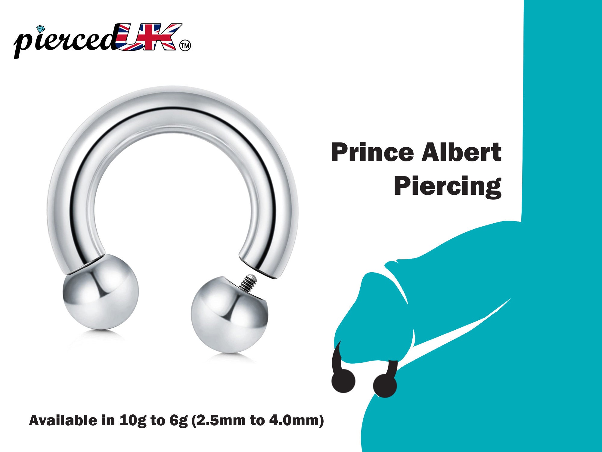 Prince Albert Piercing Circular Barbell Ring Horseshoe Etsy
