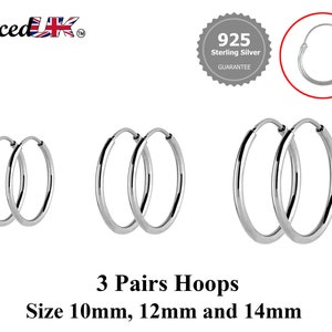 Hoop Earrings Silver - Set of 3 Pairs Hoop Earrings for Women - Comes in Sizes of 10mm, 12mm and 14mm - Silver, Gold, Rose Gold