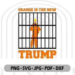 Orange is The New Trump, Political Humor Tee, Trump Graphic, Anti Trump Bumper Sticker, Trump in Jail Shirt, Digital Download, American