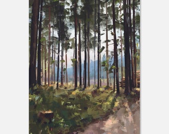 Spring morning woods