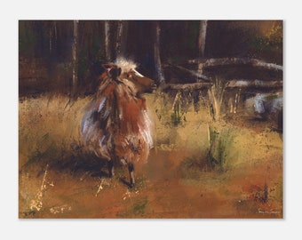Norwegian sheep