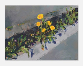 The resilience of the dandelion