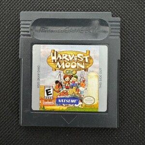 Può includere: Una cartuccia di videogioco grigia per Nintendo Game Boy di Harvest Moon GBC. L'etichetta presenta il titolo del gioco, un'illustrazione a cartoni animati di personaggi in una fattoria, una classificazione ESRB E e il logo Natsume. Ha il logo Nintendo.