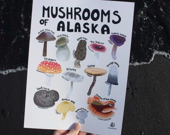 Mushroom Of Alaska