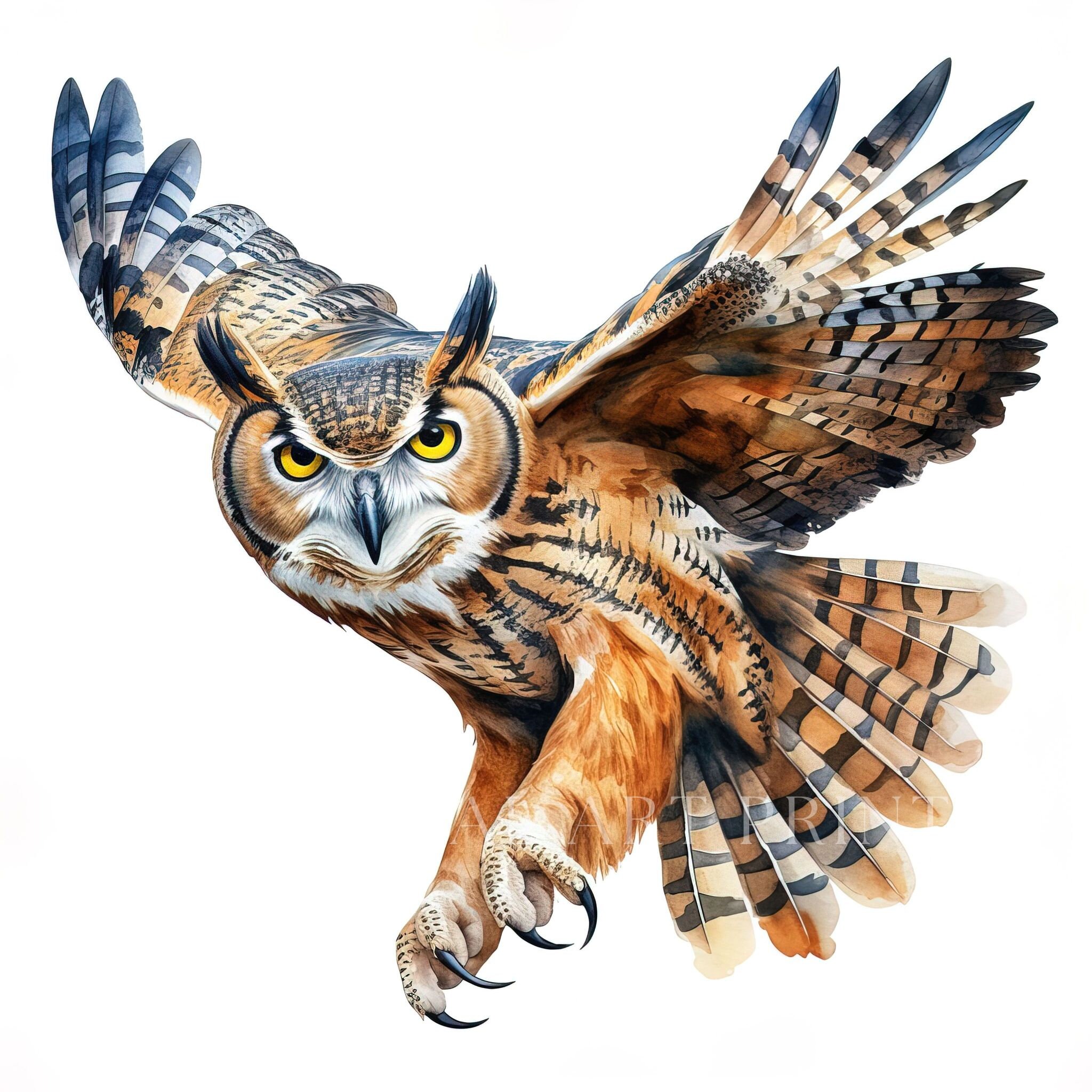 Greathorned Owl Clipart, Bird Clipart, Watercolor Greathorned Owls