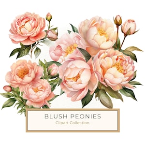 Blush Pfingstrosen Clipart, Pfingstrosen Blumenstrauß PNG, Aquarell Pfingstrosen Blumen, kommerzielle Nutzung, bedruckbarer Kunst, 10 hohe Qualität 300 Dpi JPG PNG