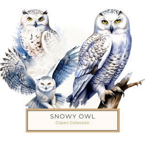 10 stampe digitali di gufo delle nevi ad acquerello, clipart di uccelli artici, illustrazione realistica di gufo bianco, stampe di gufi volanti, uso commerciale JPG / PNG