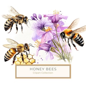 10 Watercolor Honeybee with Honeycomb Digital Art for Crafts and Scrapbooking, Perfect for Scrapbooking, DIY Craft Projects, Commercial Use