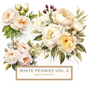 Watercolor Peony Clipart Set: Cream Floral PNG Graphics, Commercial Use