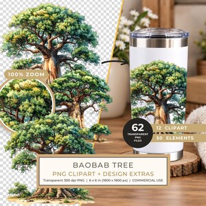12 Baobab Tree of Life Clipart PNG - Watercolor Style - Commercial Use